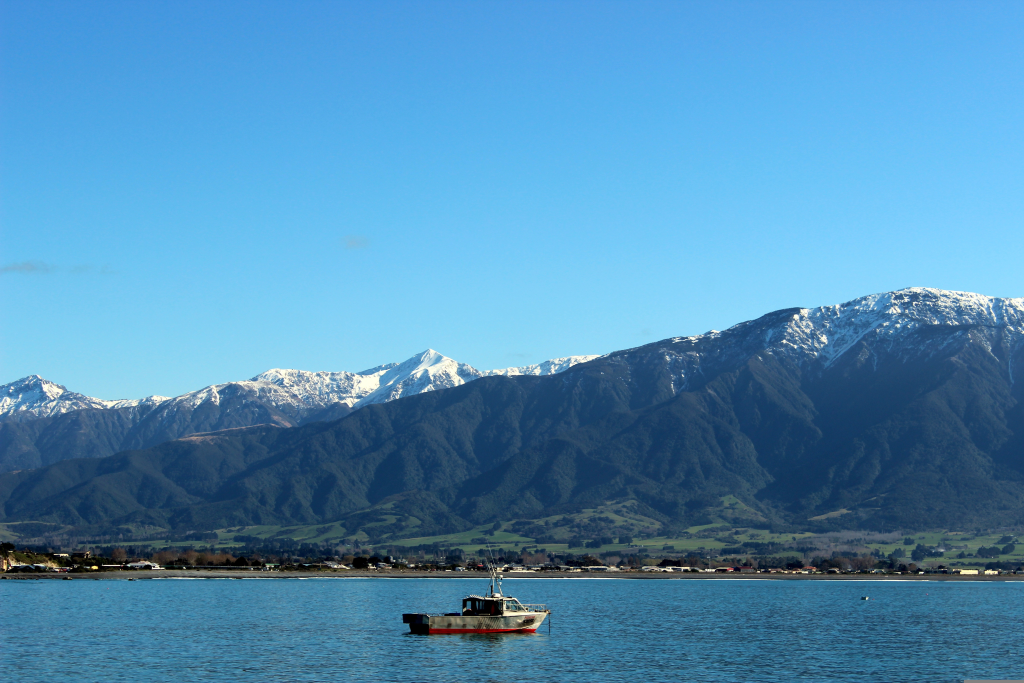 Kaikoura ocean to mountain landscape